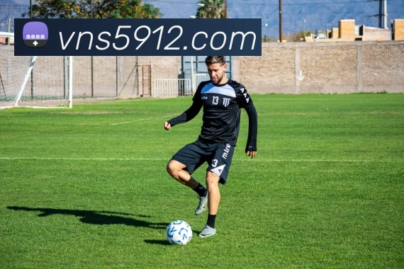 威尼斯人线上娱乐平台生态图